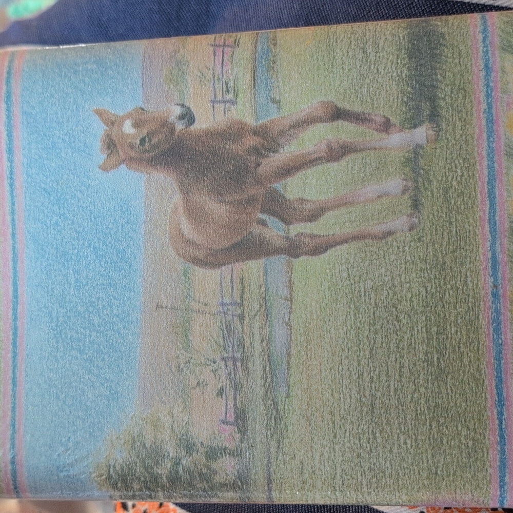 90s Vtg The Prairie Pony Horse Equestrian Wallpaper Border Imperial  Wall Border